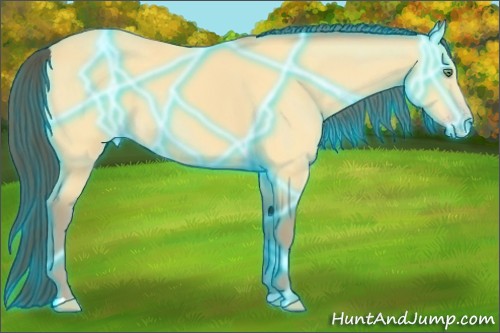 Horse Color:Thunderstruck Amber Cream Champagne 