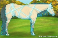 Horse Color:Thunderstruck Amber Cream Champagne