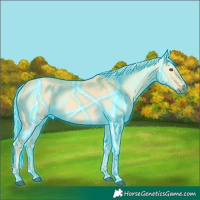 Horse Color:Thunderstruck Palomino Dun 