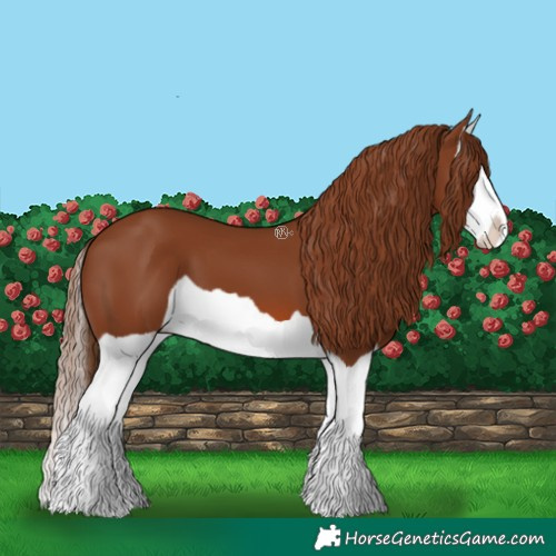 Horse Color:Chestnut Splash 