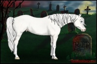 Horse Color:Silver Perlino Dun