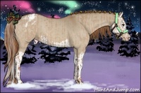 Horse Color:Red Dun Appaloosa  and Red Dun Splash Appaloosa 