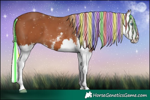 Horse Color:Painted Silver Bay Sabino Splash 