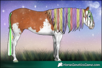 Horse Color:Painted Silver Bay Sabino Splash 