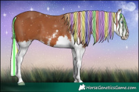 Horse Color:Painted Silver Bay Sabino Splash