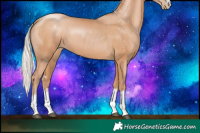 Horse Color:Silver Black Pearl 