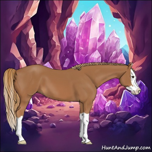 Horse Color:Chestnut Splash 