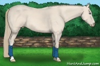 Horse Color:Perlino