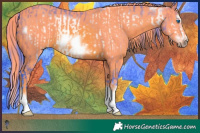 Horse Color:Watercolor Bay Frame  and Watercolor Chestnut Splash Frame 