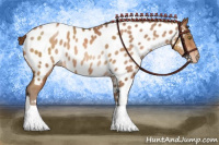 Horse Color:Brown Pearl Sabino Appaloosa