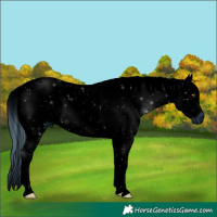 Horse Color:ERROR: UNKNOWN ANOMALY