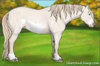 Horse Color:Smoky Creme Roan Dun Frame Rabicano 