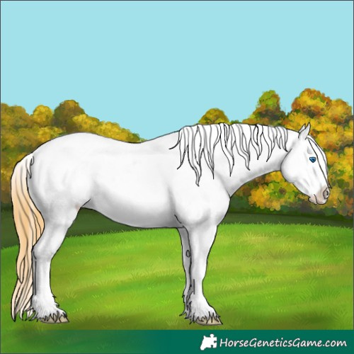 Horse Color:Smoky Grullo Roan Splash Varnish Rabicano 