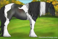 Horse Color:Black Tobiano