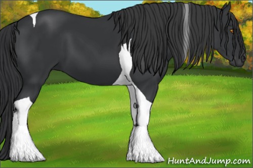 Horse Color:Black Tobiano