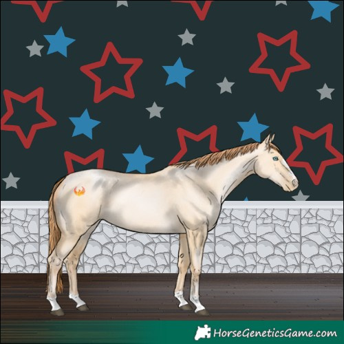 Horse Color:Buckskin Pearl Dun 