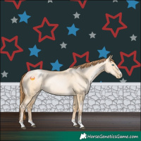 Horse Color:Buckskin Pearl Dun 