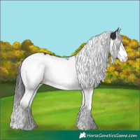 Horse Color:Black Splash Tobiano