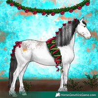 Horse Color:White Spotted Brown Roan