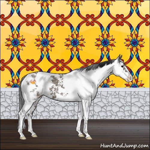 Horse Color:Grullo Sabino 