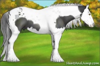 Horse Color:Black Splash Tobiano 