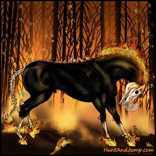 Horse Color:Void White Spotted Bay Dun Mushroom 