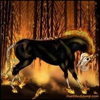 Horse Color:Void White Spotted Bay Dun Mushroom 