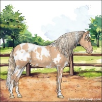 Horse Color:White Spotted Gold Champagne