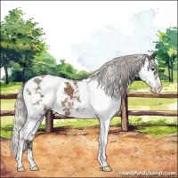 Horse Color:Silver Black Sabino 