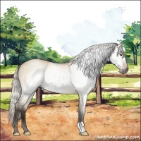 Horse Color:Gray Silver Buckskin Dun Rabicano 