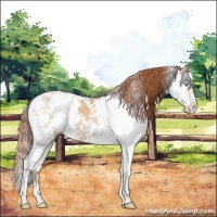 Horse Color:Buckskin Pearl Sabino 