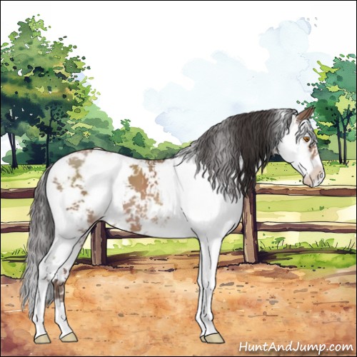 Horse Color:Sable Champagne Sabino 