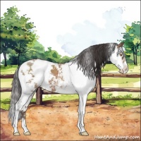 Horse Color:Sable Champagne Sabino 