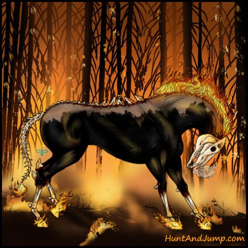 Horse Color:Void Bay Roan Dun Sabino Splash
