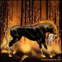 Horse Color:Void Bay Roan Dun Sabino Splash 