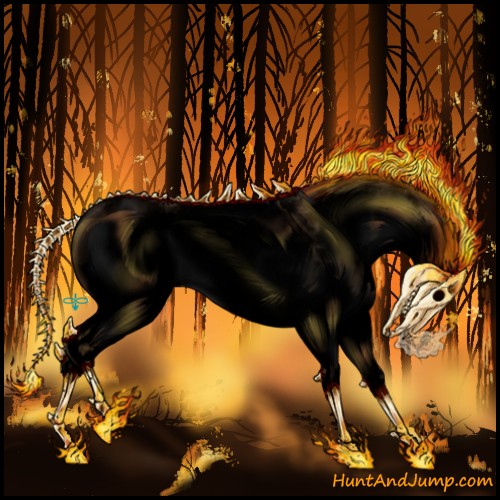 Horse Color:Void White Spotted Bay Dun Splash 
