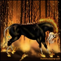 Horse Color:Void White Spotted Bay Dun Splash 