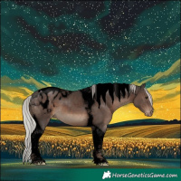 Horse Color:Void Silver Black Tobiano Blanket 
