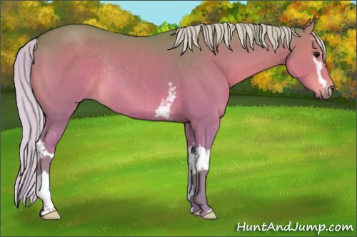 Horse Color:Watercolor White Spotted Silver Black Rabicano 