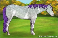 Horse Color:Platinum Watercolor White Spotted Amber Champagne Ice Rabicano 
