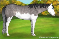 Horse Color:Platinum Brown Dun Splash Rabicano