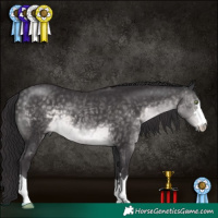 Horse Color:Platinum Buckskin 