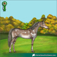 Horse Color:White Spotted Liver Red Dun Mushroom
