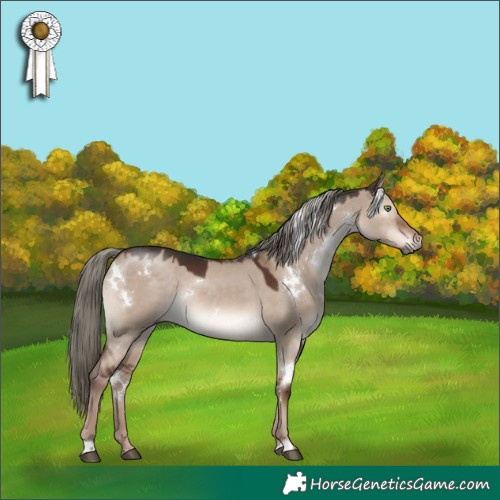 Horse Color:White Spotted Liver Red Dun Mushroom Rabicano 