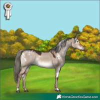 Horse Color:White Spotted Liver Red Dun Mushroom Rabicano