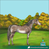 Horse Color:White Spotted Liver Red Dun Mushroom Rabicano Brindle 