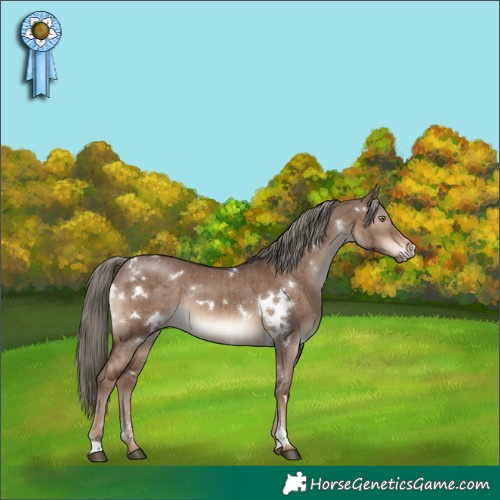 Horse Color:White Spotted Liver Red Dun Mushroom Rabicano Brindle 