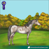 Horse Color:White Spotted Liver Red Dun Mushroom Rabicano Brindle