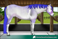 Horse Color:Watercolor Bay Roan Onyx Tobiano 
