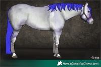 Horse Color:Watercolor Bay Roan Onyx Tobiano 